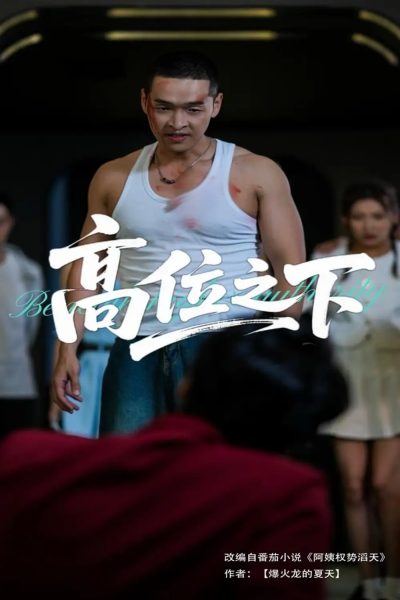 高位之下（65集）张家嘉&赵龙