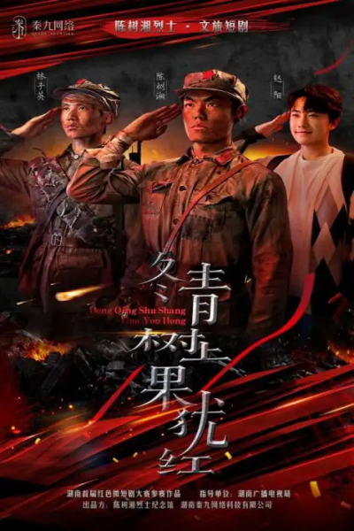 冬青树上果犹红（9集）张懋&夏天琪