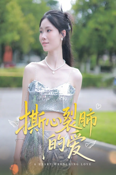 撕心裂肺的爱（17集）杨琴婷&曹栋