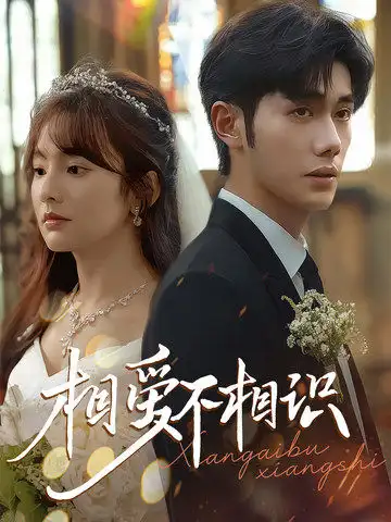 相爱不相识（67集）李铂一&王子怡
