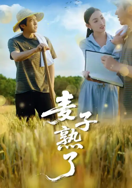 麦子熟了（52集）宋雯娟