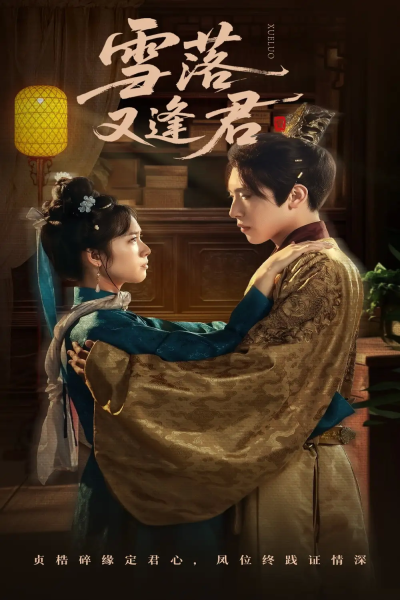 雪落又逢君（78集）杨映真