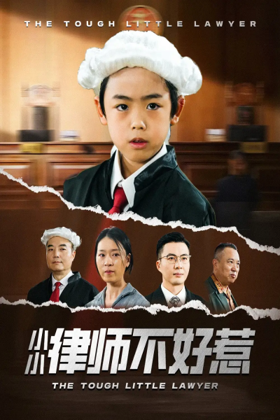 小小律师不好惹（82集）王晓蒙