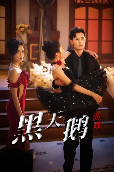 黑天鹅游戏（60集）宋喃&郭美林子