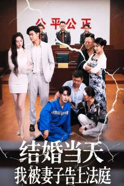 结婚当天我被妻子告上法庭（30集）王惠子&张玉忱
