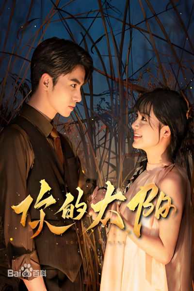 [你的太阳][2025][全集][国产剧]
