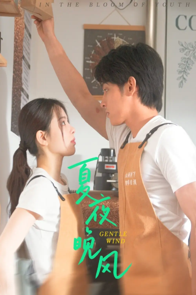 夏夜晚风（12集）何衍朝＆蔡子伊