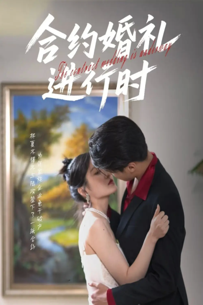 合约婚礼进行时（30集）刘灵灿