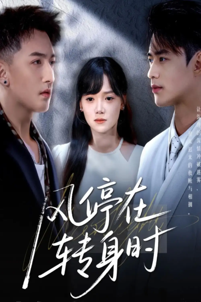 风停在转身时（72集）黄小再＆秦远
