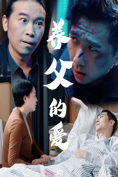 养父的爱（31集）王妃&罗刚