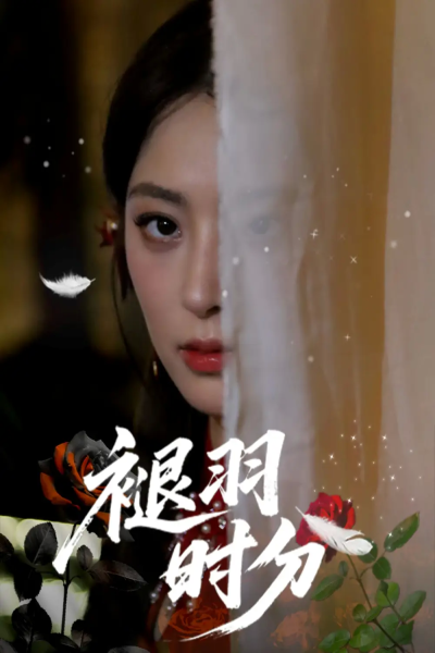 褪羽时分（61集）王美淇&关潇
