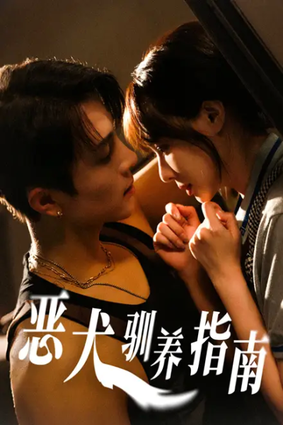 恶犬驯养指南（40集）成子太＆姚凯辰