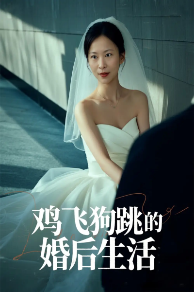 鸡飞狗跳的婚后生活（28集）曲海东＆杨静静