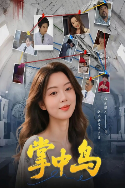 掌中鸟（42集）唐朵&李衡伟